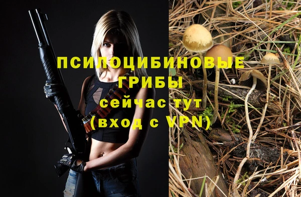 твердый Каменск-Шахтинский