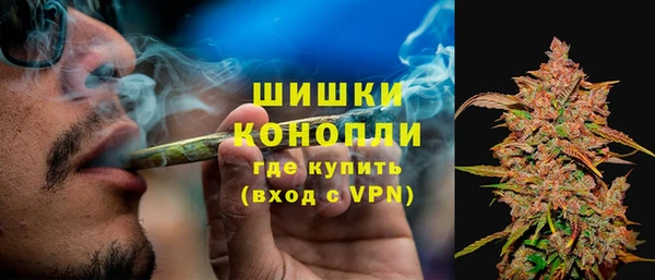 ALPHA PVP Каменка