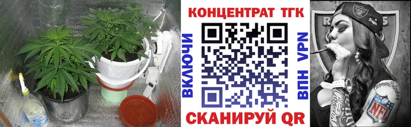 МЕГА ТОР  Шенкурск  ТГК жижа 