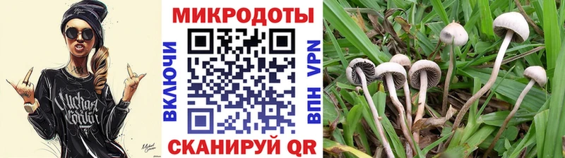 Псилоцибиновые грибы MAGIC MUSHROOMS  Шенкурск 